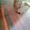 Hardwood Solid Wood Flooring UV Finish
